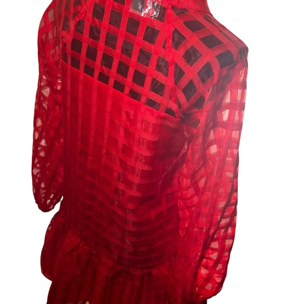 English Factory Sheer Red Organza Long Sleeve Checkered Dress - Size S - Picture 6 of 7